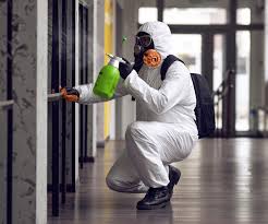 Best Mold Removal for HVAC Installations  in Carbondale, IL